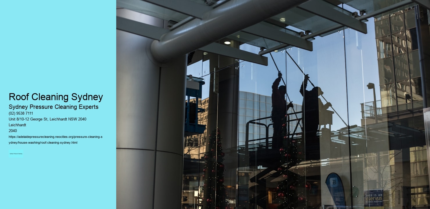 Roof Cleaning Sydney